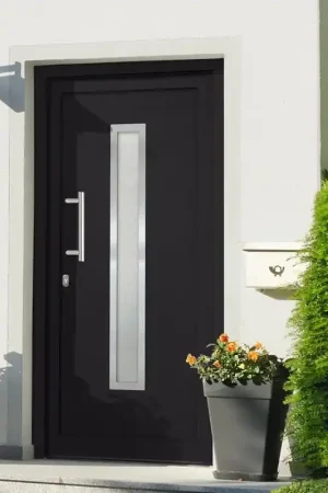 Must-Have Porta di Ingresso Antracite 108x208 cm 279240
