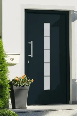 A Buon Prezzo Porta d'Ingresso in Alluminio e PVC Antracite 100x200 cm 3056815